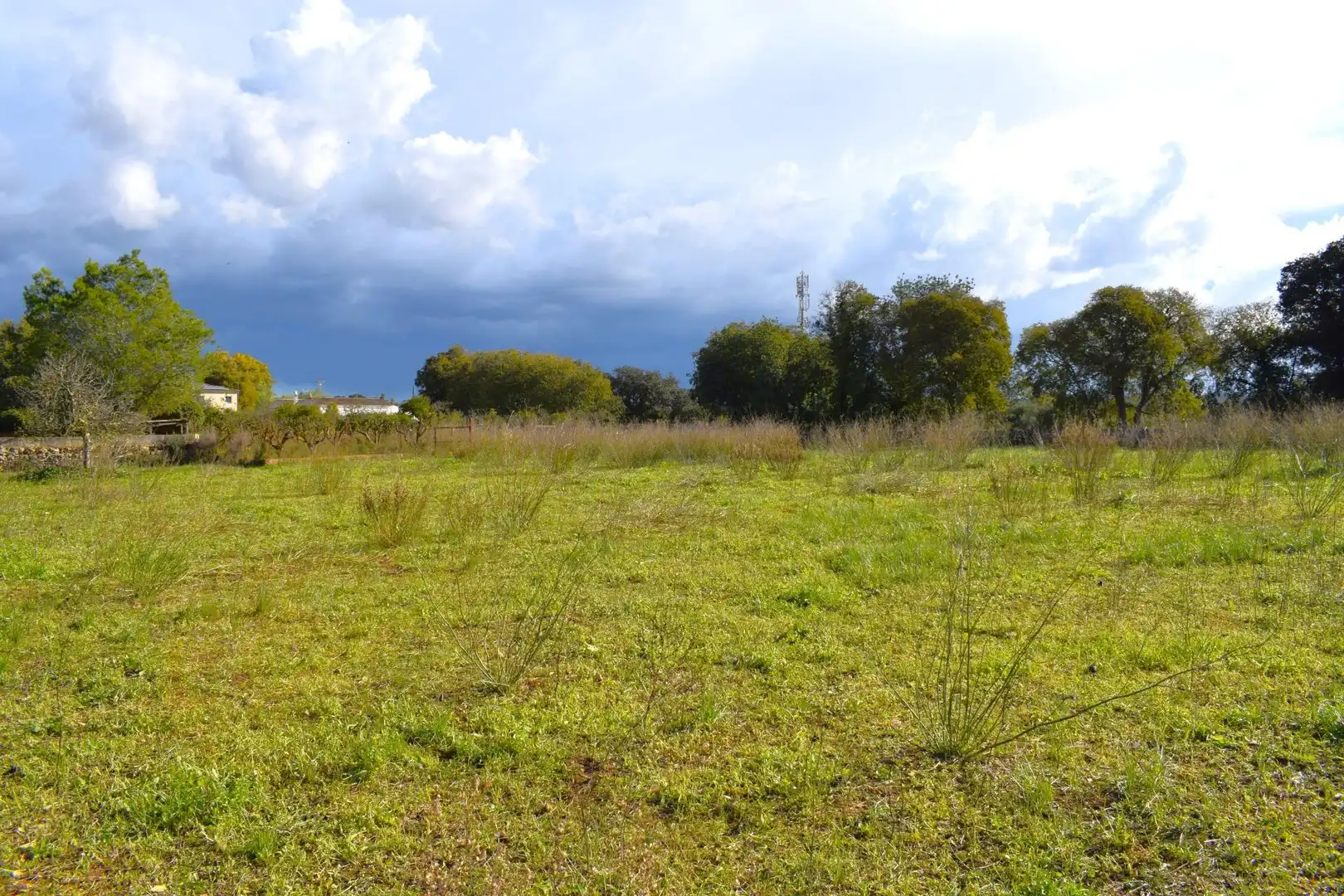 Residential land for sale in Llubí, imagen 29