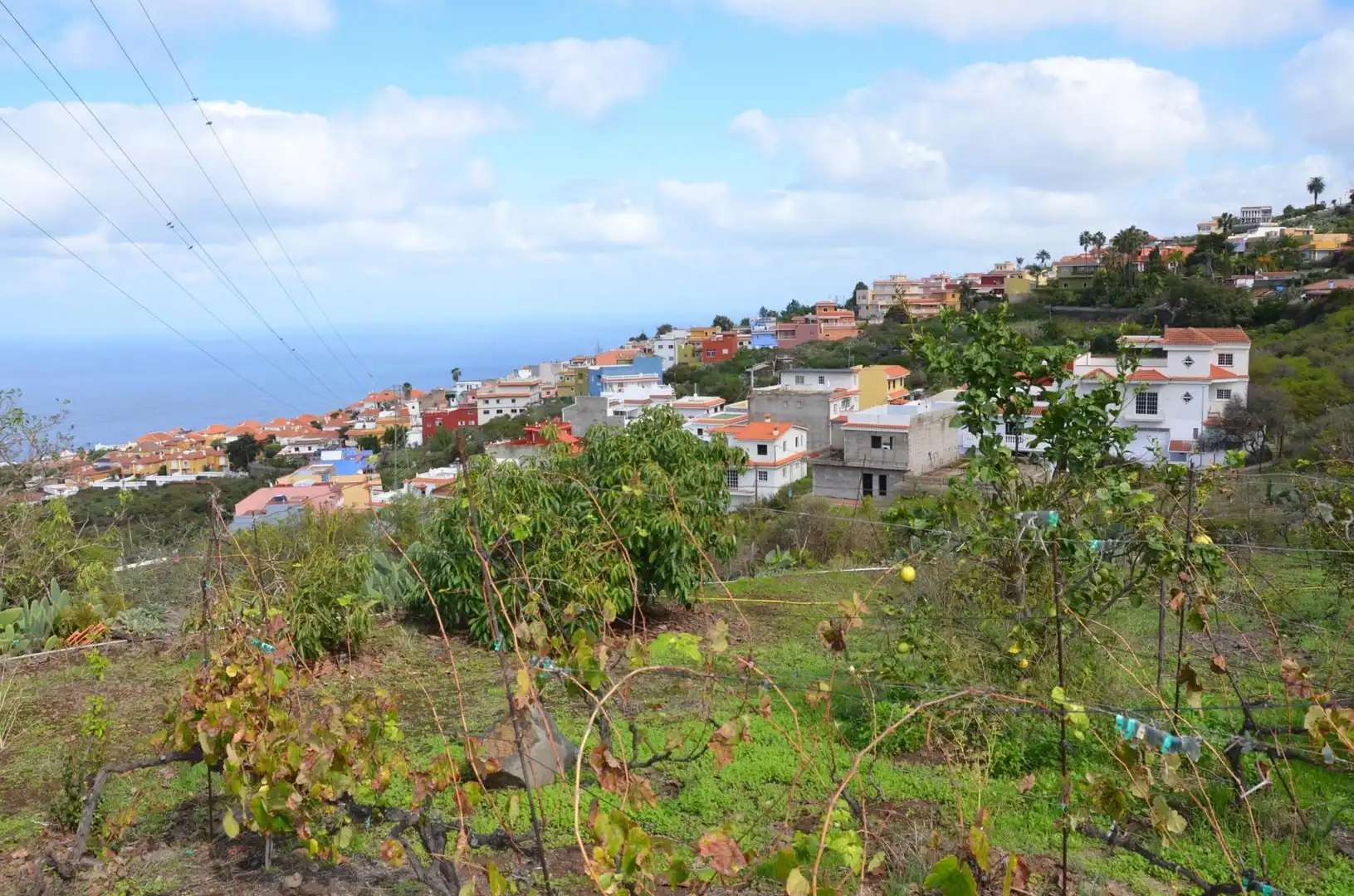 Vista exterior de Casa o chalet en venta en Santa Úrsula con Jardín privado, Terraza y Trastero