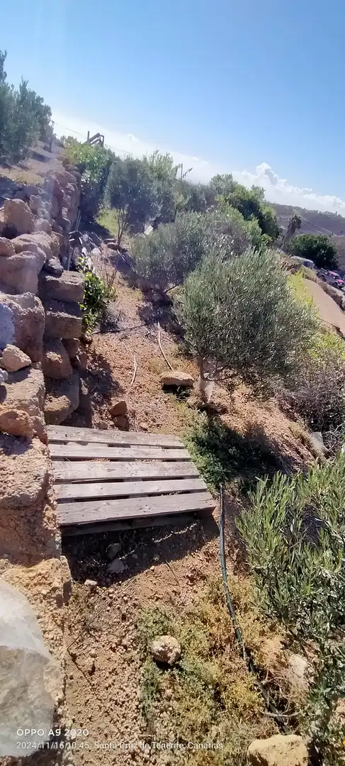 Terreno en venta en Arico