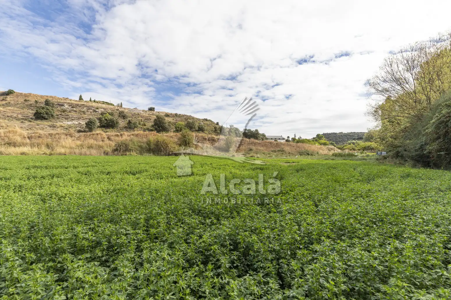 Terreny rústic en venda a Hueva, imagen 17