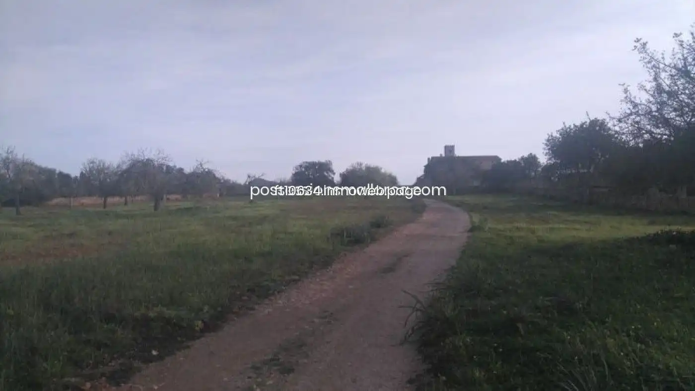 Terreno rustico in vendita a Algaida, imagen 38