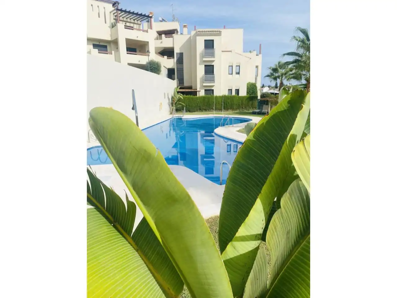 Pis amb piscina en venda a Calle Bendalid