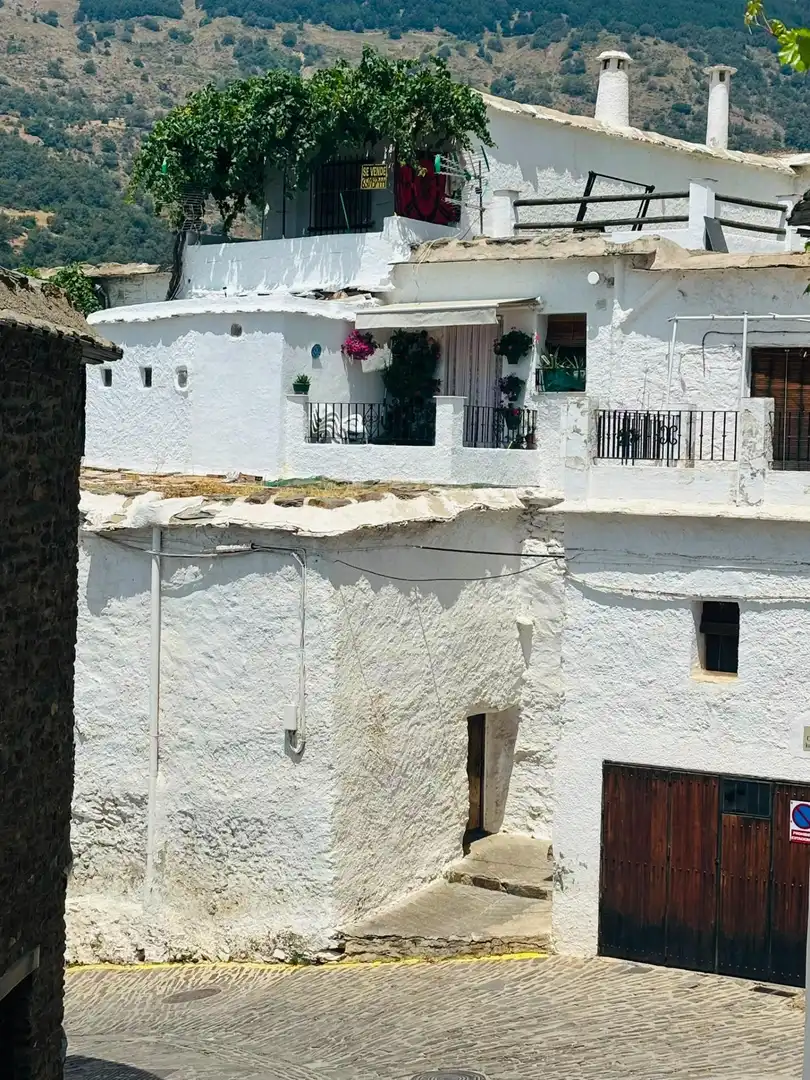 Vista exterior de Finca rústica en venta en Capileira
