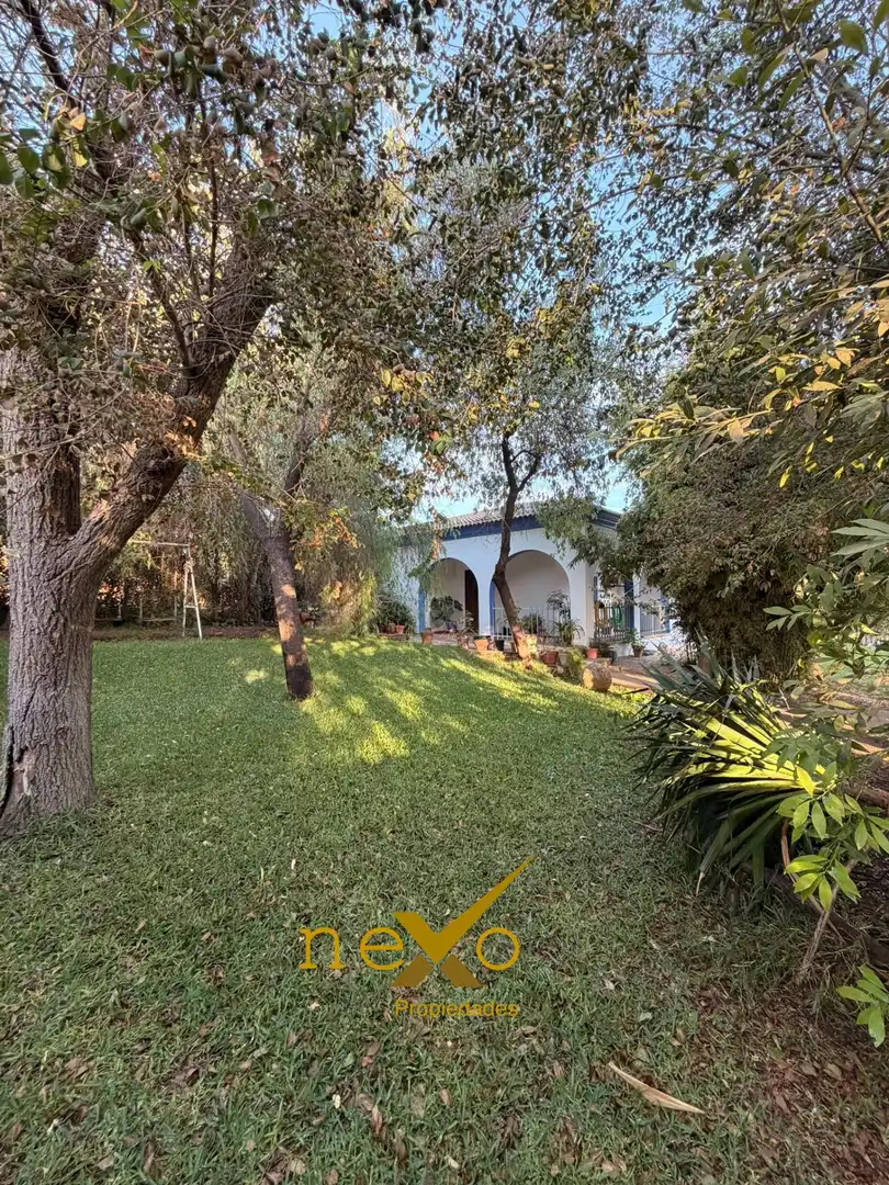 Chalet con piscina en venta en Carmona, imagen 4