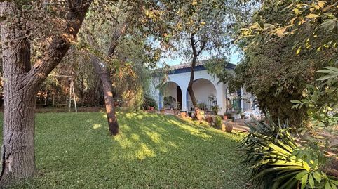 GRAN CHALET LOS FRUTALES DEL ALCOR, imagen 4