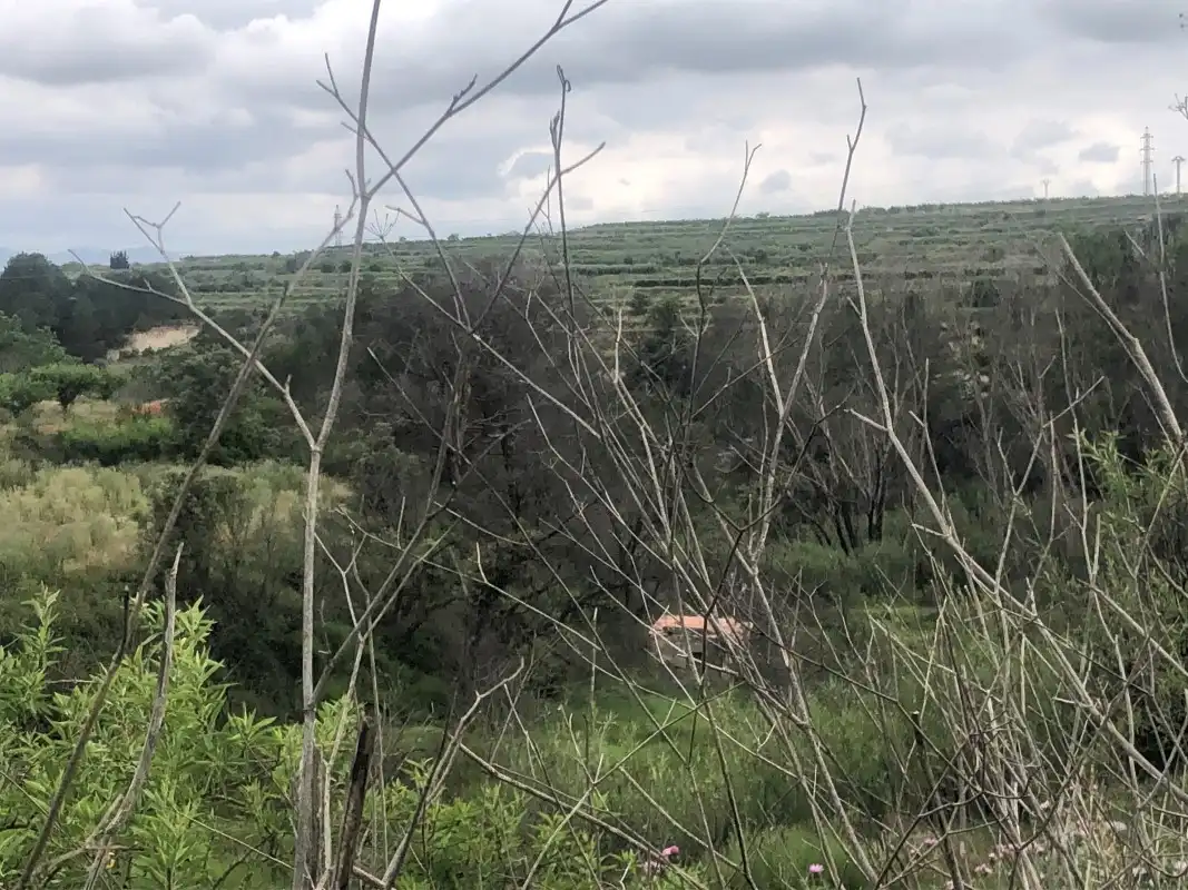 Terreno rústico en venta en Castelló de Rugat, imagen 19