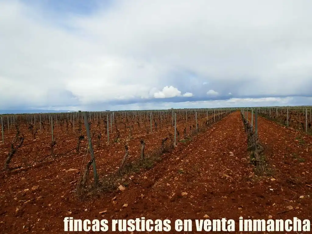 Terreno rustico in vendita a Pozuelo de Calatrava, imagen 15