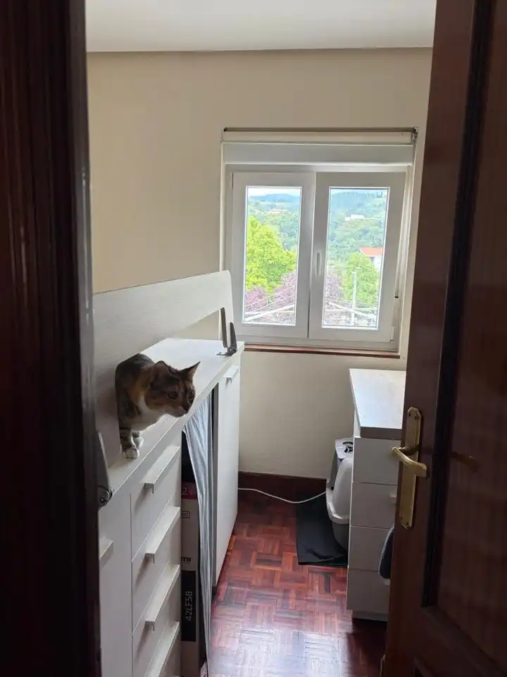 Wohnung zum Verkauf in Ebaristo Bustintza Kirikiño Kalea, imagen 13