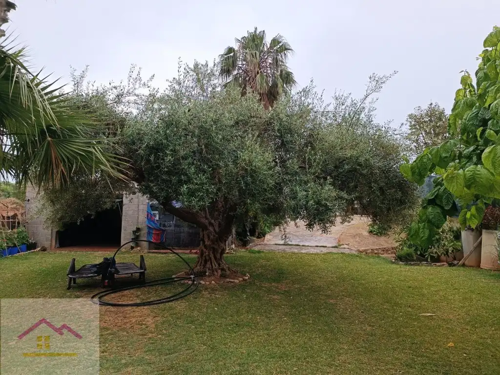 Casa o xalet en venda a Urbanizacion Pai Sector Torrelasal, Cabanes