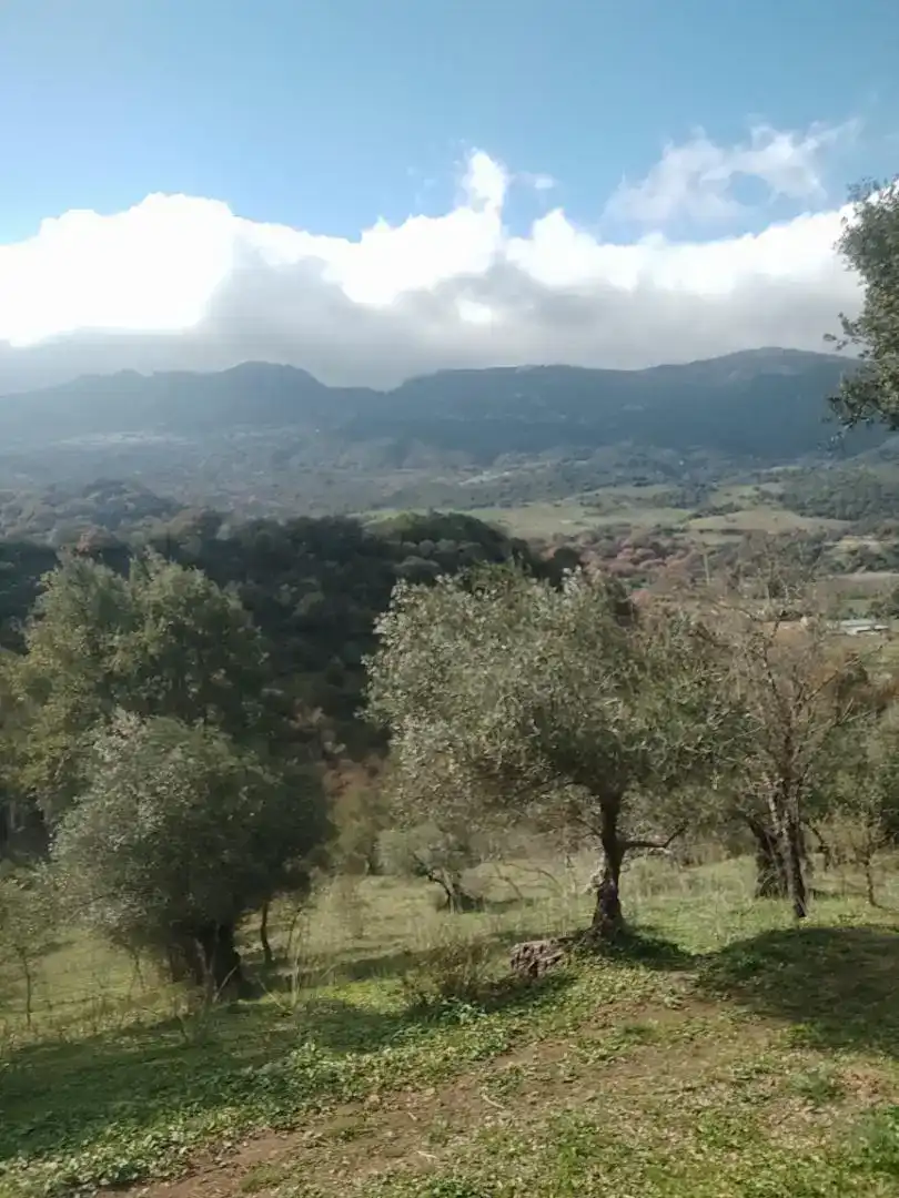 Finca rústica en venda en Cortes de la Frontera amb Jardí privat, Forn i Rentadora