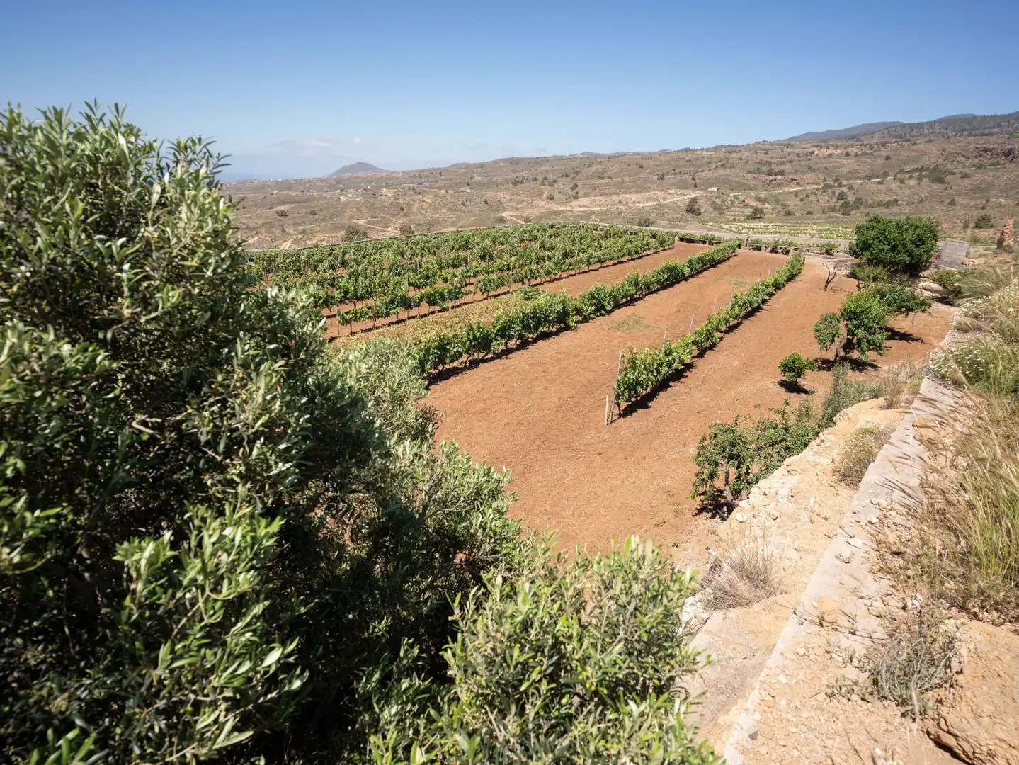 Terreno rustico in vendita a N/A, imagen 8