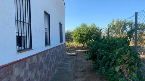 Photo 5 of House or chalet for sale in Calle Tena, 2, Medellín, Badajoz