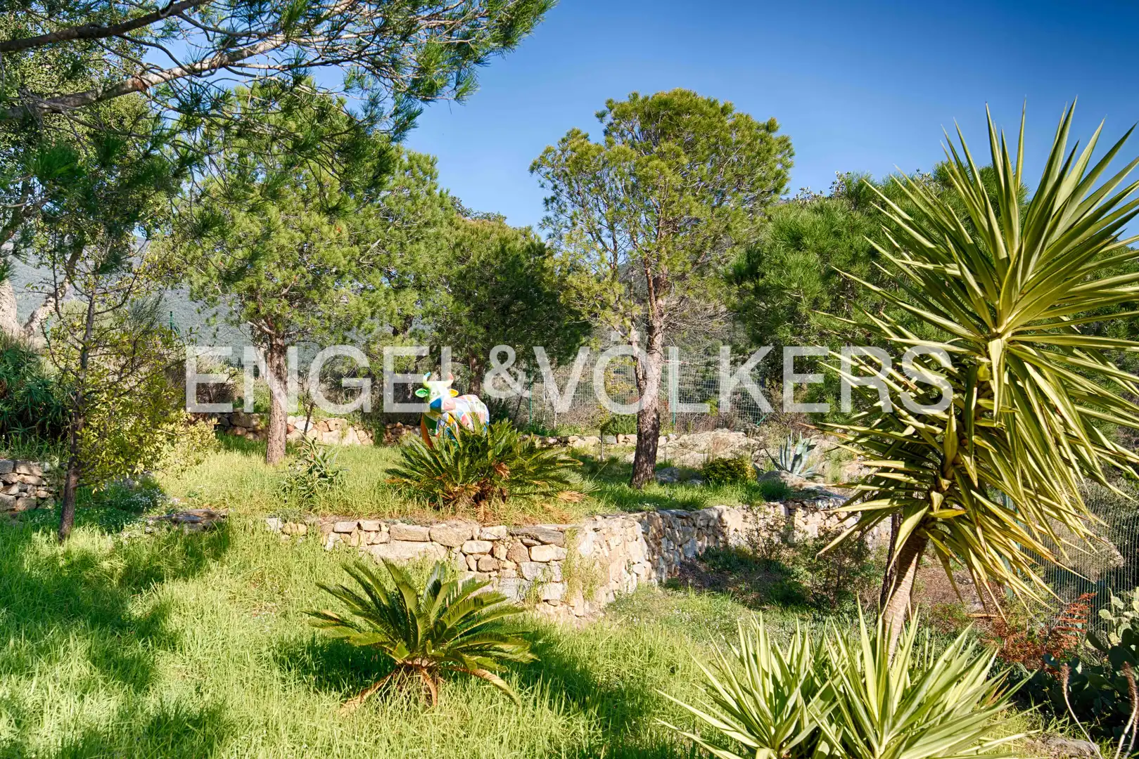 Detached homes for sale in Cantallops  with Private garden, Terrace and Swimming Pool