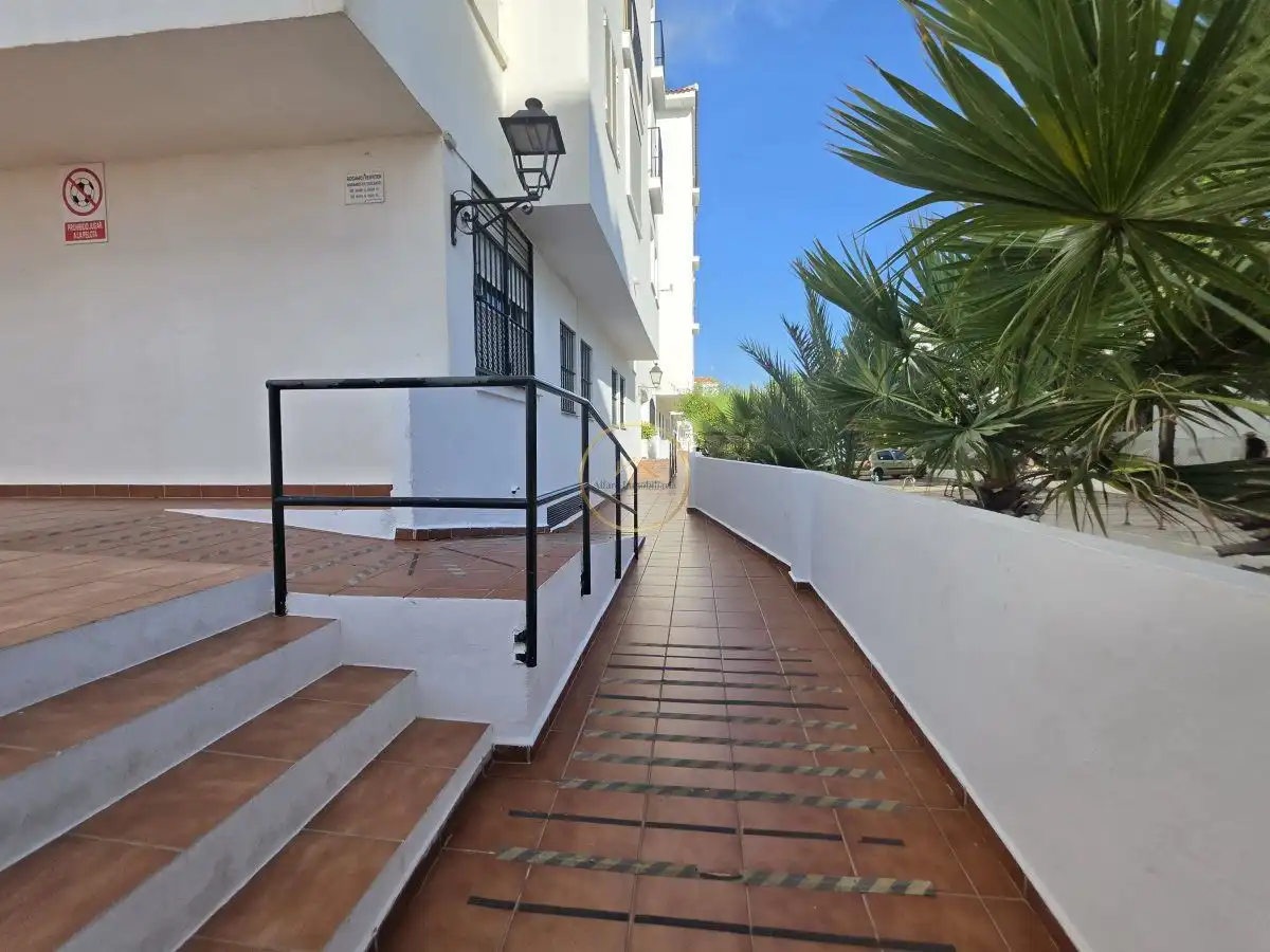 Exterior view of Flat for sale in Almonte  with Terrace