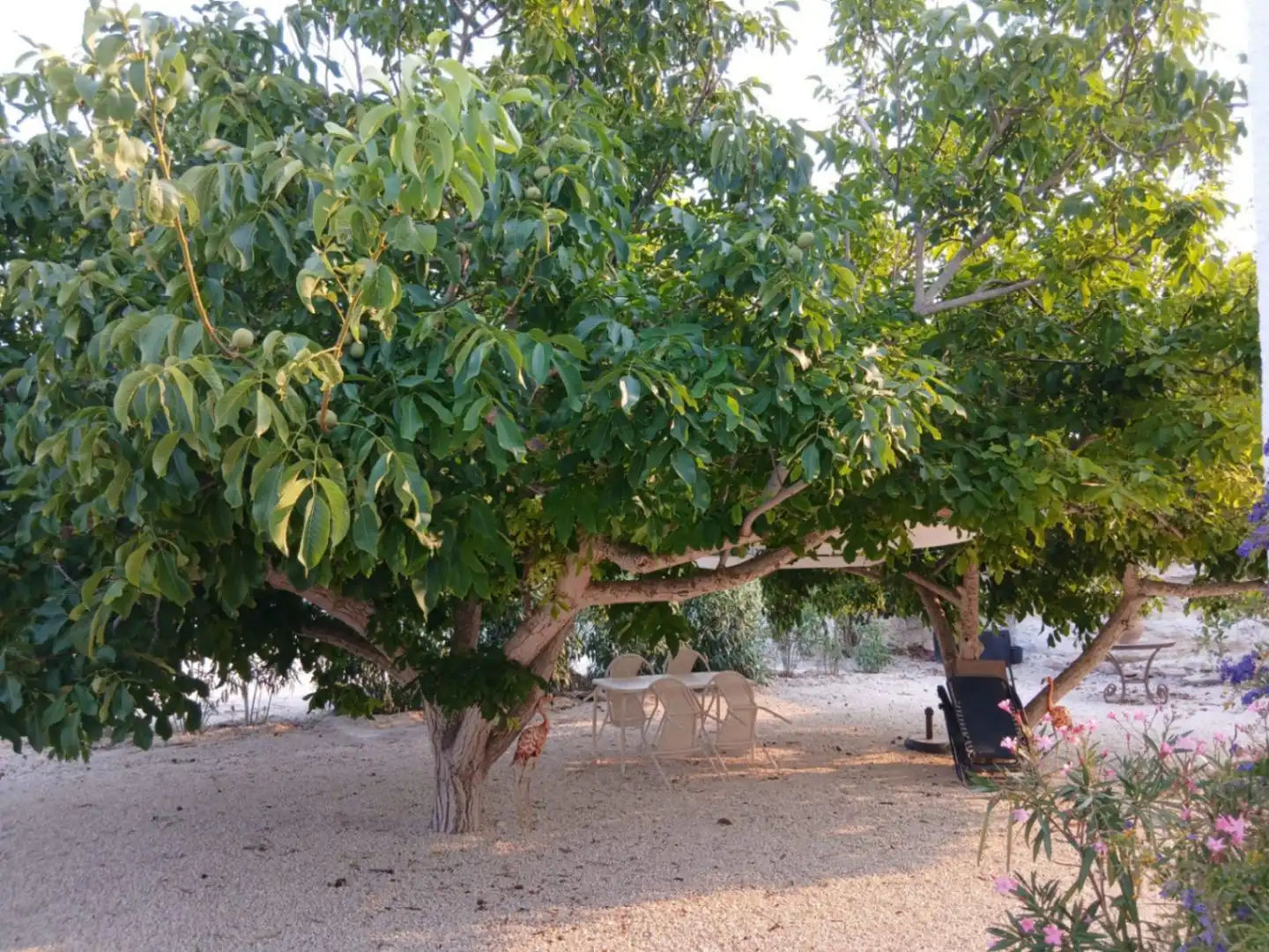 Jardín de Casa o chalet de alquiler en Teulada con Aire acondicionado, Terraza y Trastero