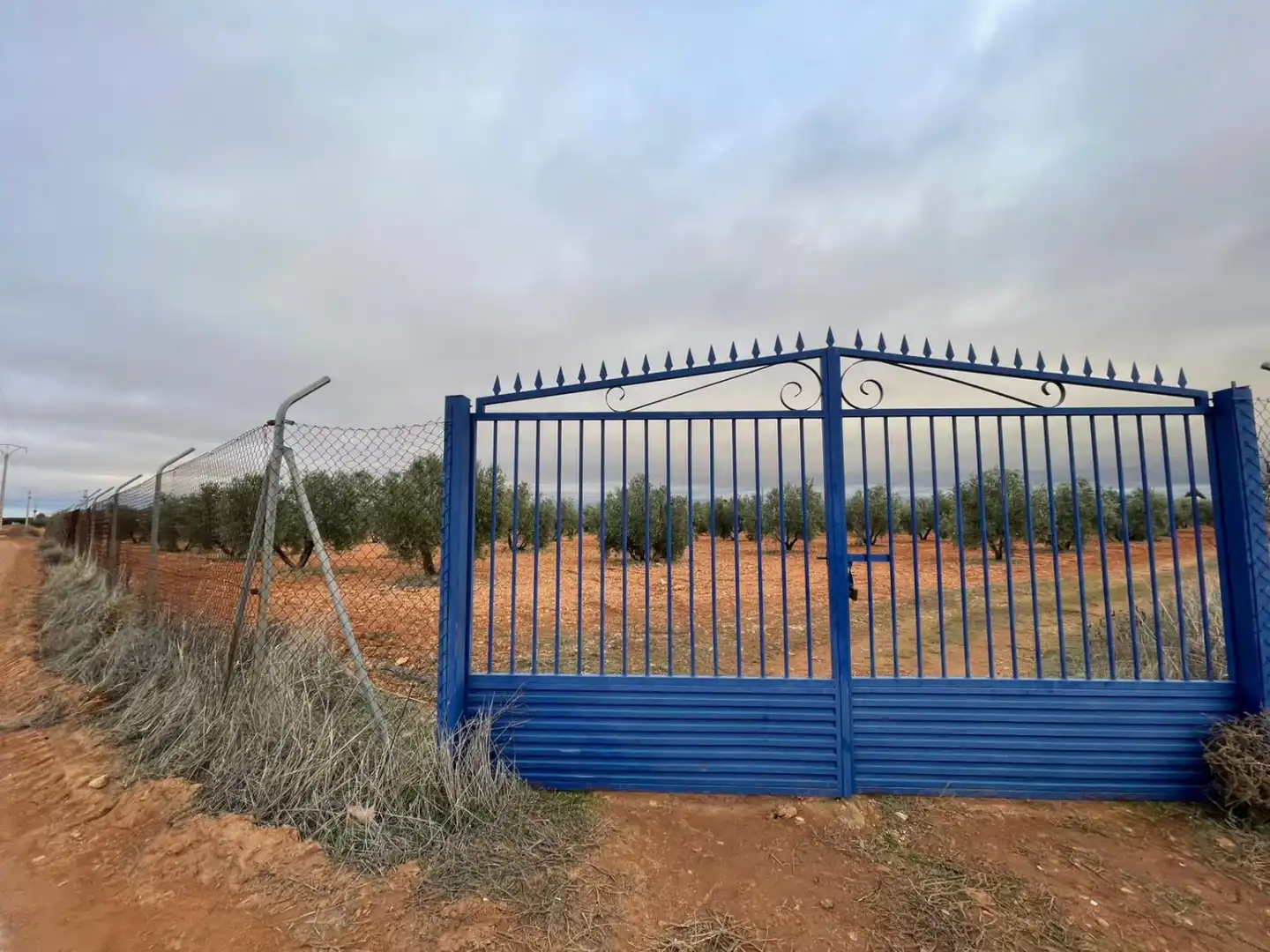 Lands and plots for sale in Valdepeñas, imagen 13