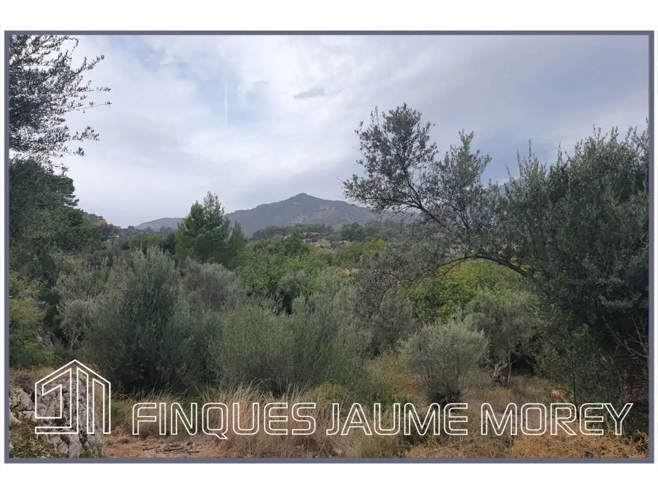 Finca rústica en venda en Selva amb Jardí privat