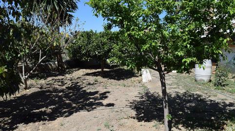 Foto 5 de Finca rústica en venda a Alcaucín, Málaga