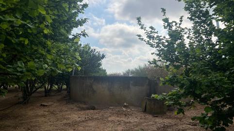 Photo 5 of Land for sale in  la Selva del Camp, La Selva del Camp, Tarragona