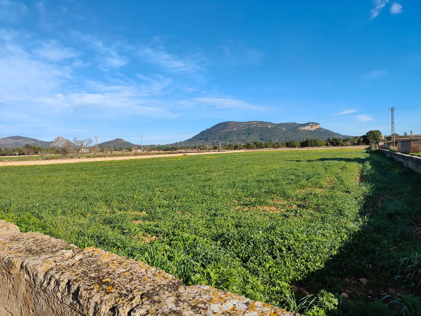 Terreno en venta en Llucmajor