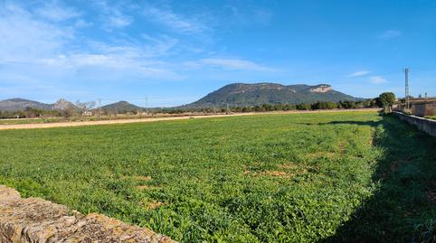 Photo 3 of Land for sale in Llucmajor pueblo, Illes Balears
