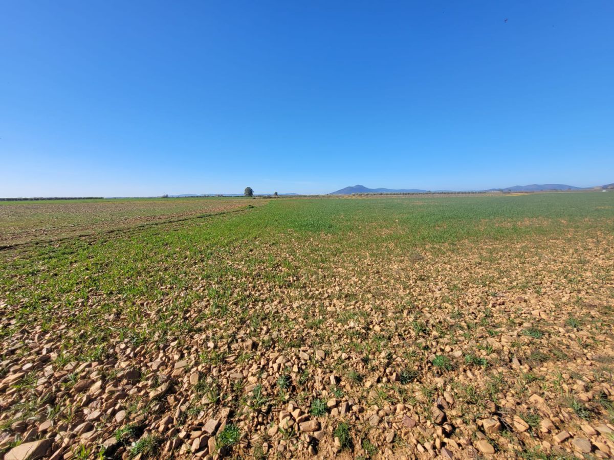 Finca rústica en venta en Malagón