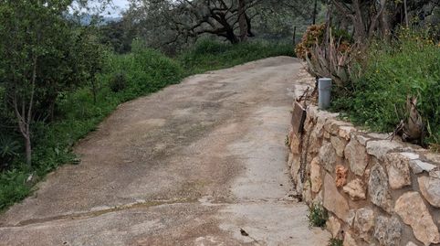 Foto 3 de Finca rústica en venta en Colmenar, Málaga