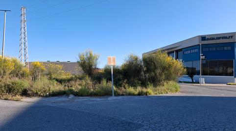 Photo 5 of Industrial buildings for sale in Carretera de la Celulosa, Playa de Granada, Motril