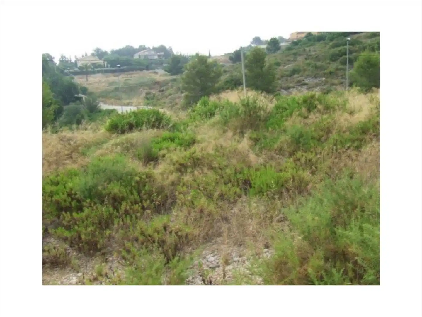 Terrenys i solars en venda a Alberic, imagen 3