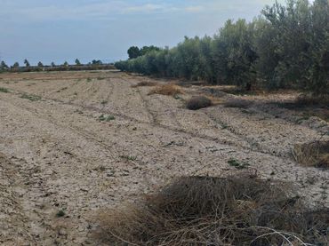 Terreno rustico in vendita a Totana