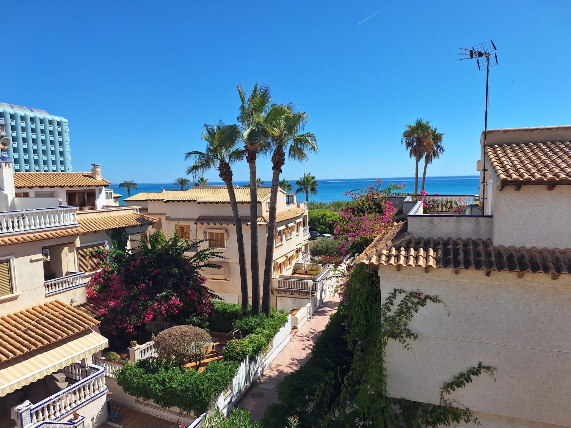 Jardí de Casa o xalet de lloguer en Guardamar del Segura amb Jardí privat
