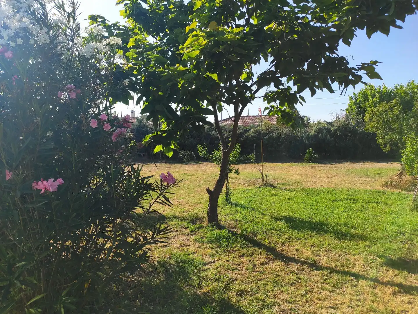 Terrenos y solares en venta en Calvarrasa de Abajo, imagen 3