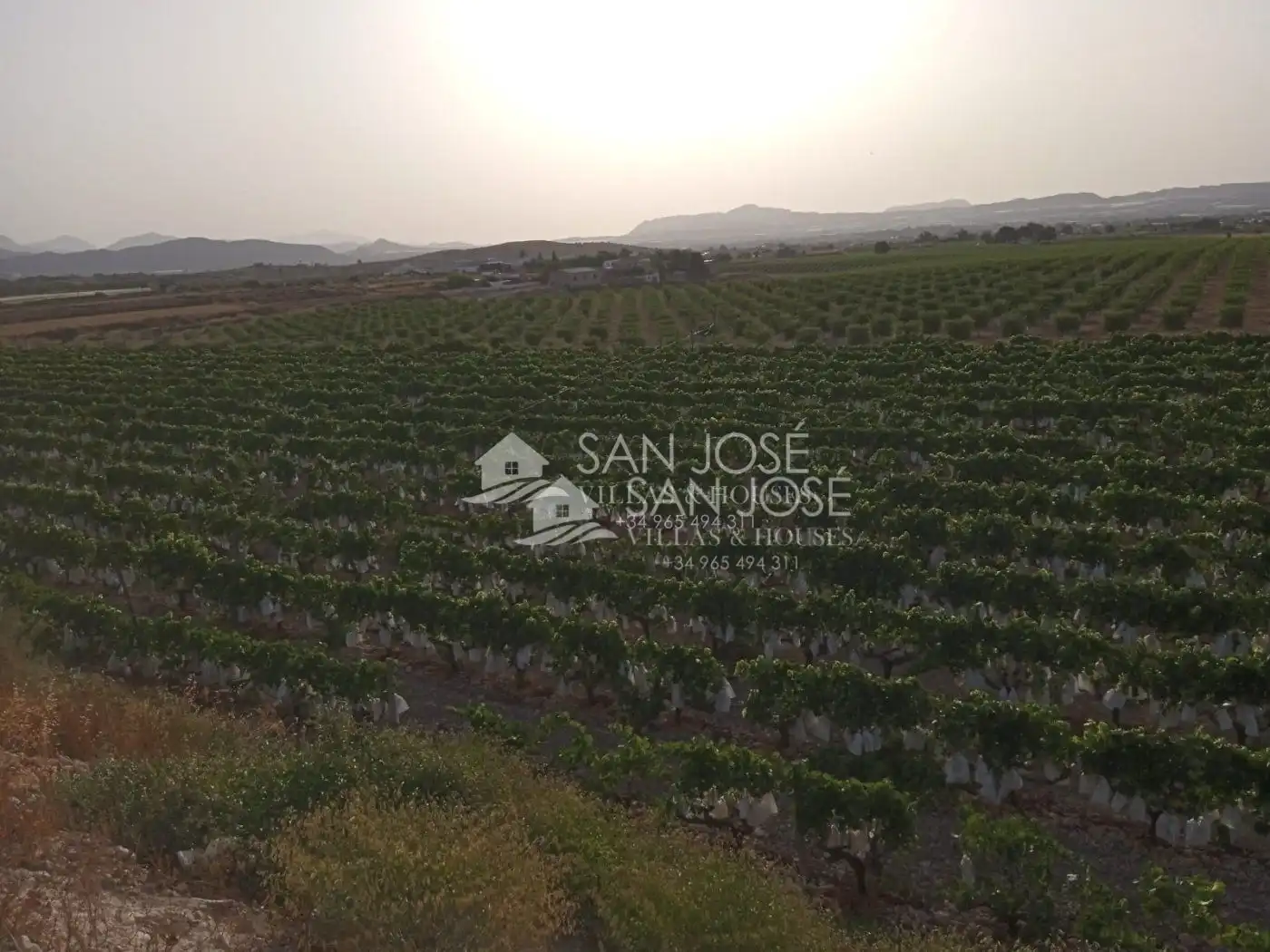 Rural land for sale in Novelda, imagen 5
