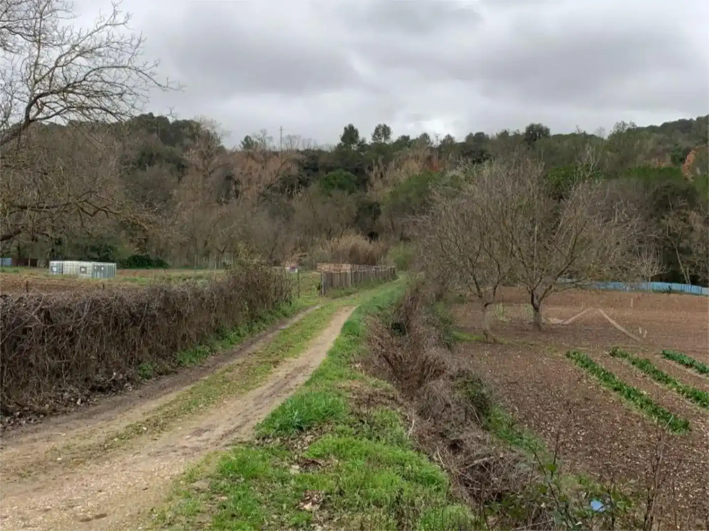 Country homes for sale in Torrelavit