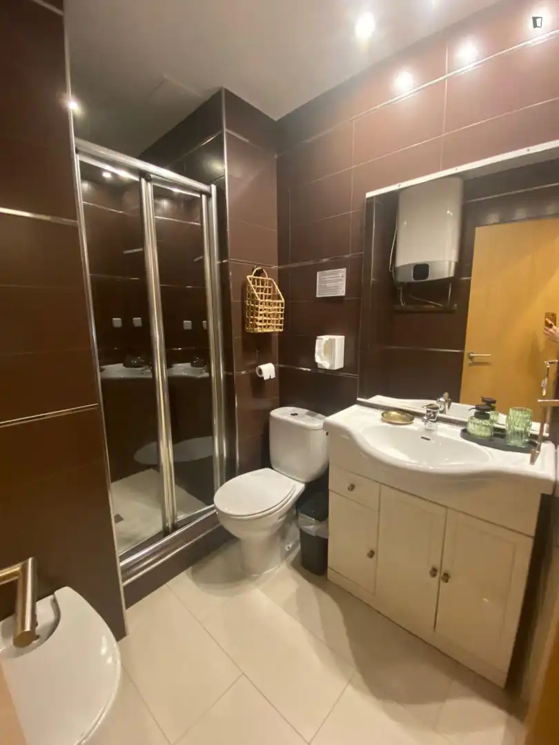 Bathroom of Apartments for rent in Madrid  with Air Conditioner, Furnished and Oven