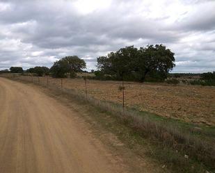 Terreny en venda en Villanueva de los Castillejos