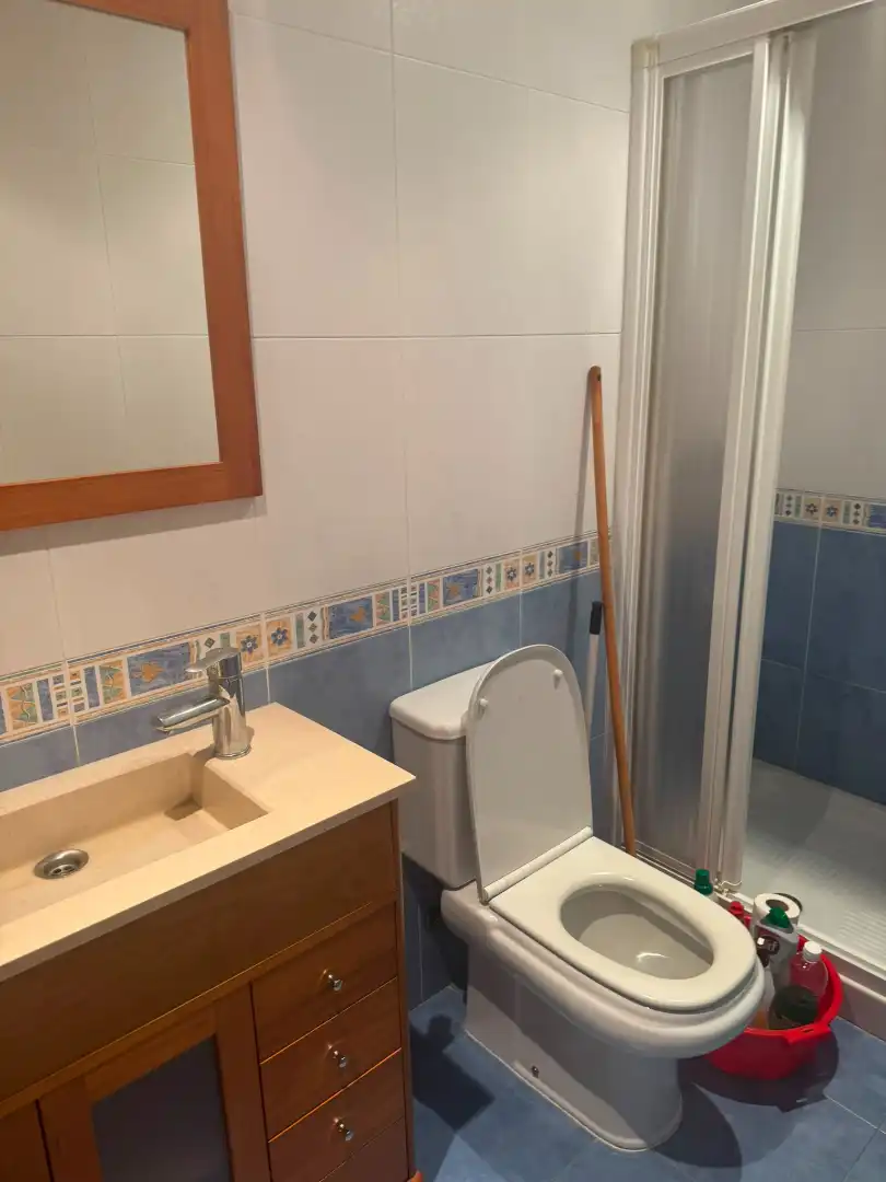Bathroom of Flat for rent in Santiago de Compostela   with Parquet flooring, Furnished and Oven