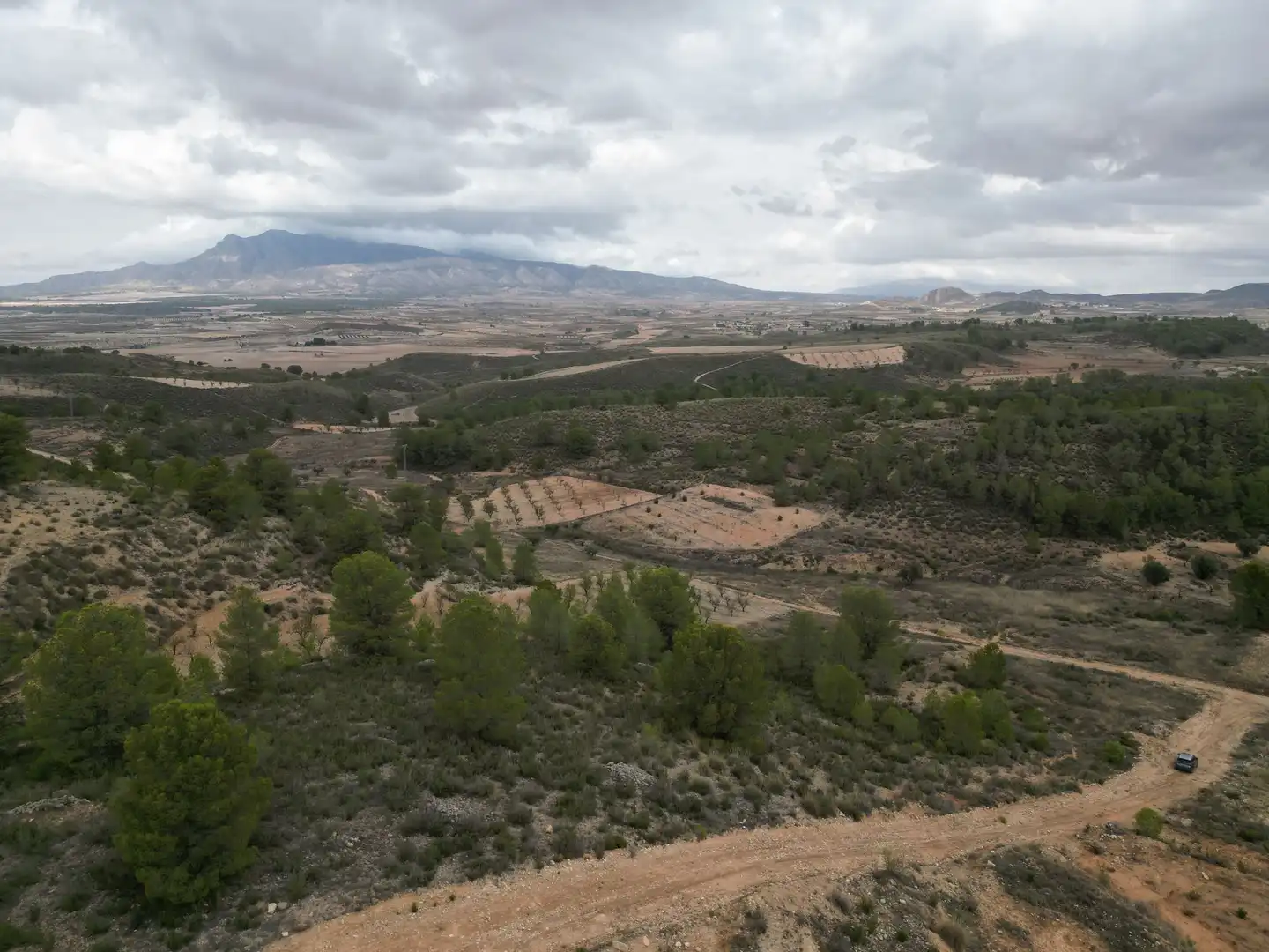Terreny residencial en venda a Jumilla, imagen 5