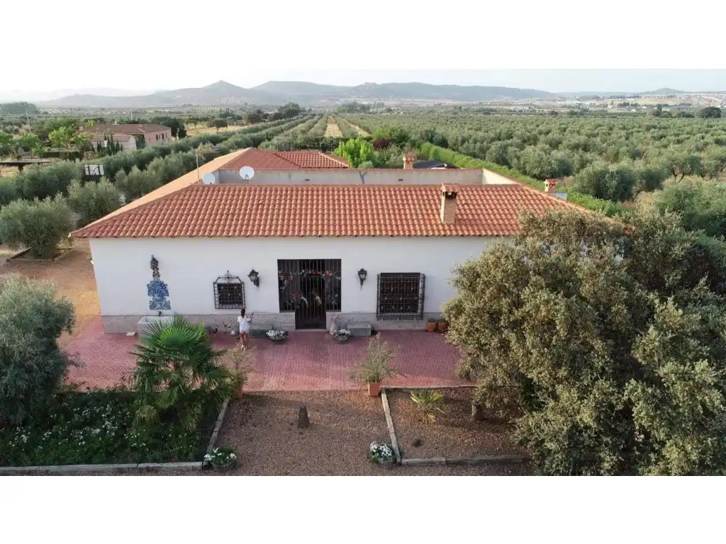 Detached house with pool for sale in Piedrabuena