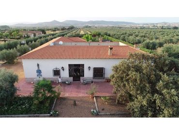 Detached house with pool for sale in Piedrabuena
