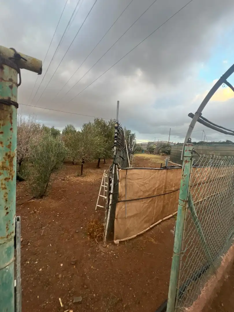 Rural land for sale in Ingenio pueblo, imagen 28