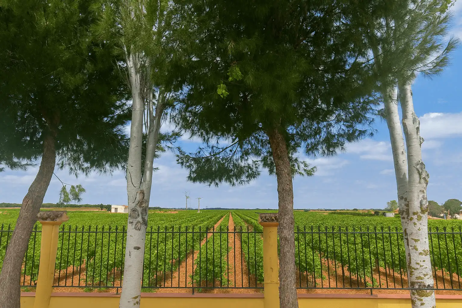 Exterior view of Houses for sale in La Roda  with Private garden, Terrace and Swimming Pool