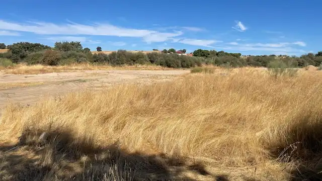 Rural land for sale in Villamanta, imagen 6