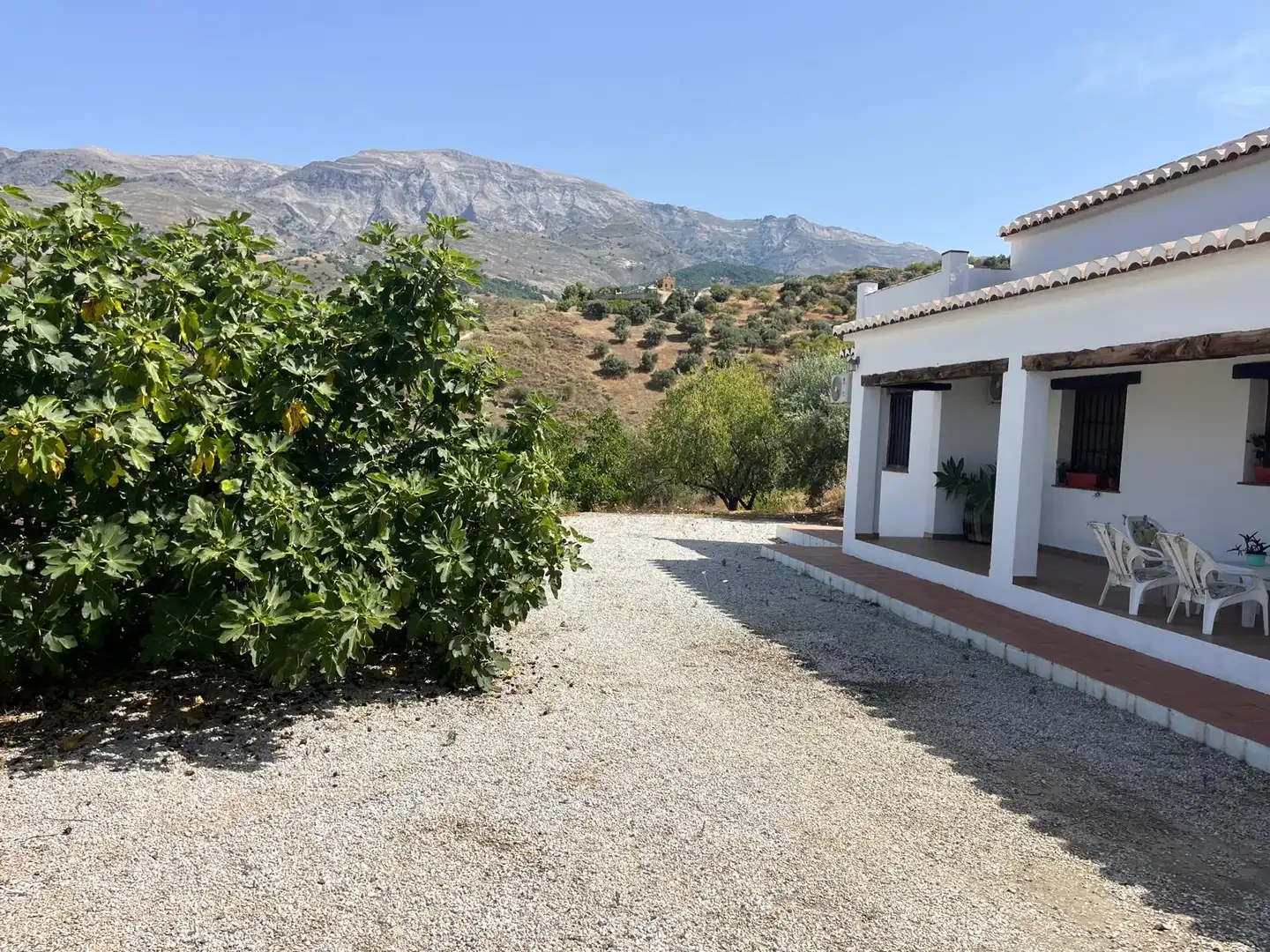 Vista exterior de Finca rústica de lloguer en Sedella amb Aire condicionat, Jardí privat i Traster