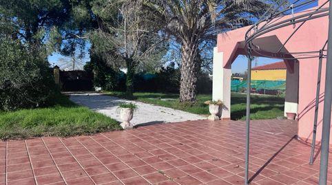 Foto 2 de Finca rústica en venta en Arahal, Sevilla