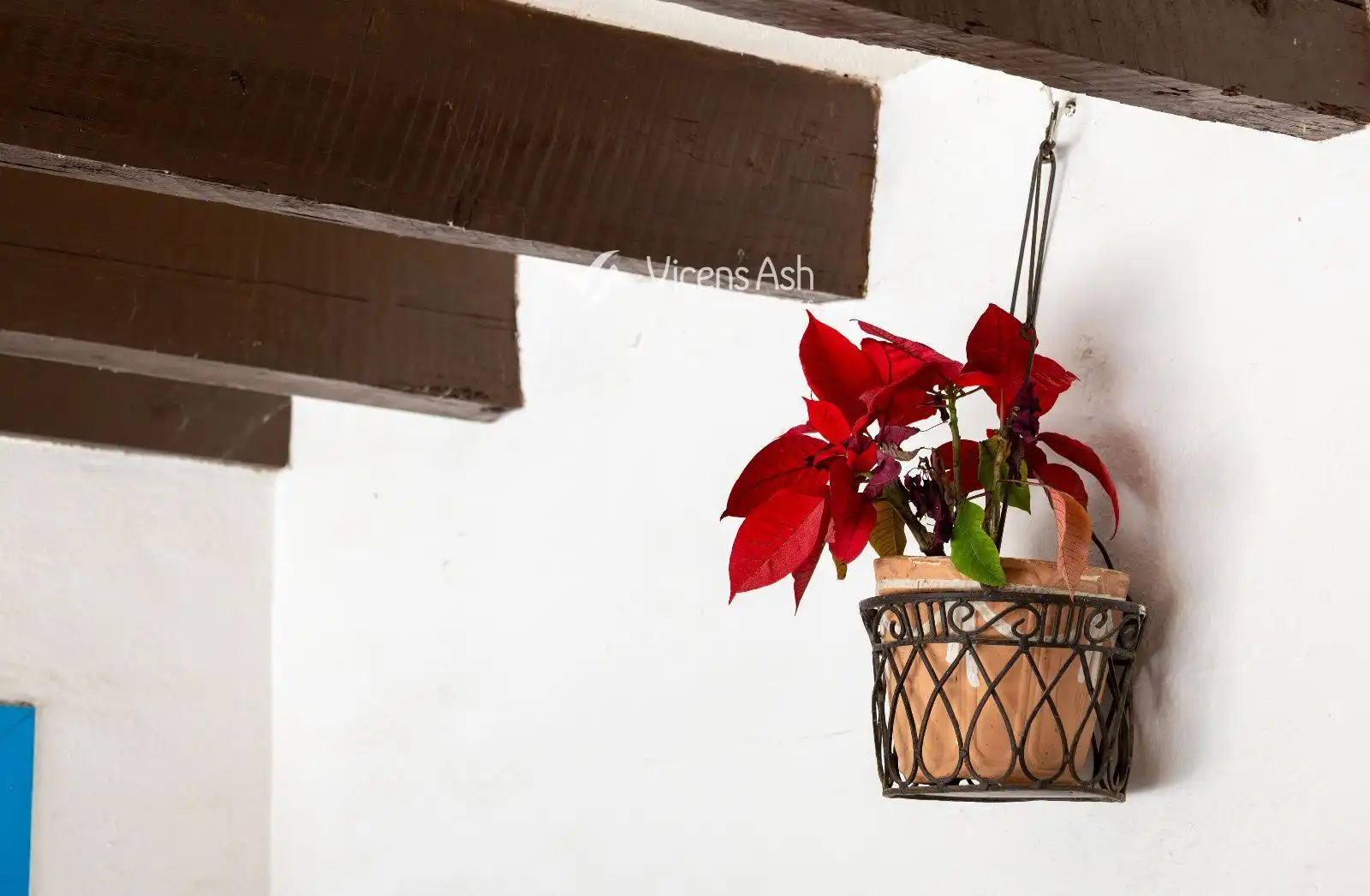 Houses for sale in Jávea / Xàbia  with Storage room, Swimming Pool and Furnished