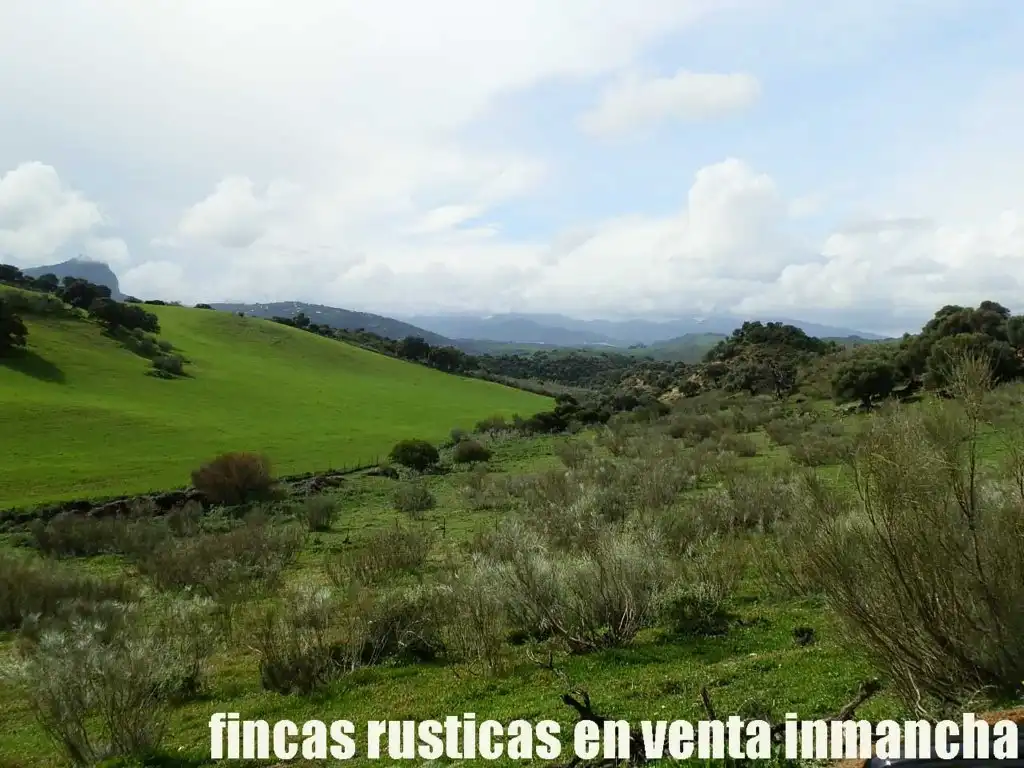 Terreno rustico in vendita a Algodonales, imagen 13