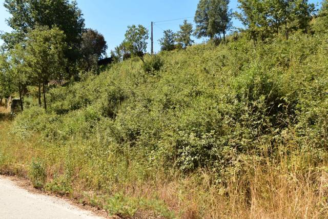 Terreno residencial en Venta en Sant Feliu de Buixalleu