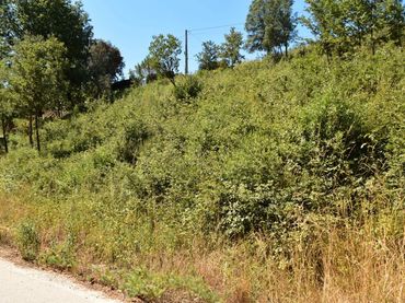 Terreno residencial en venta en Sant Feliu de Buixalleu