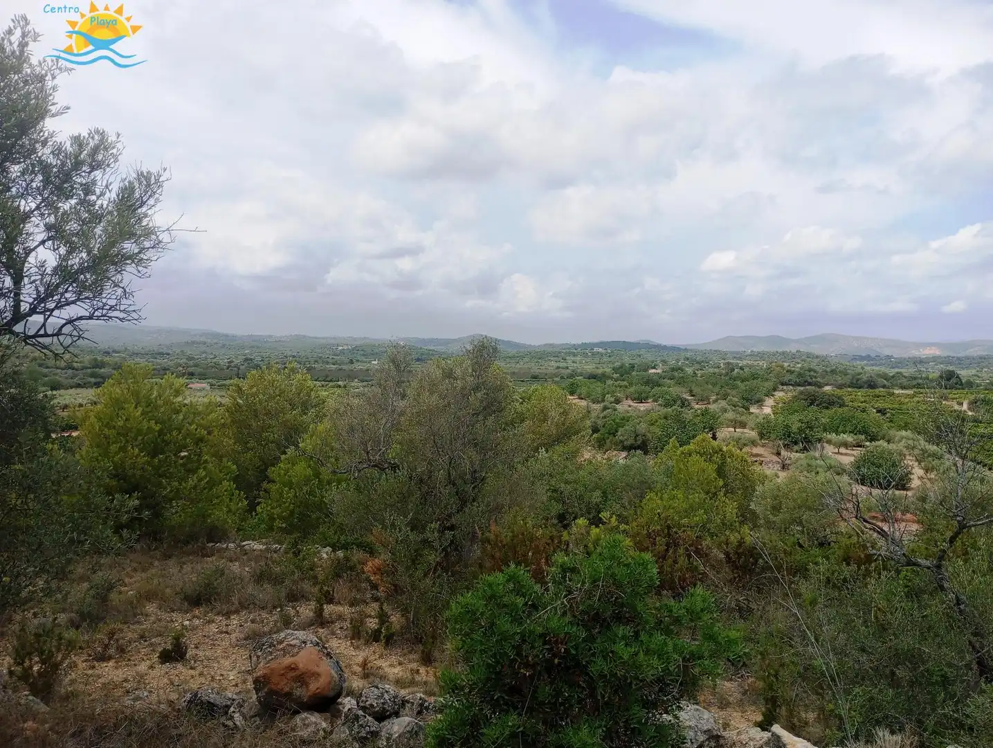 Maison rustique à vendre à CALIG CASTELLON 12589, imagen 14